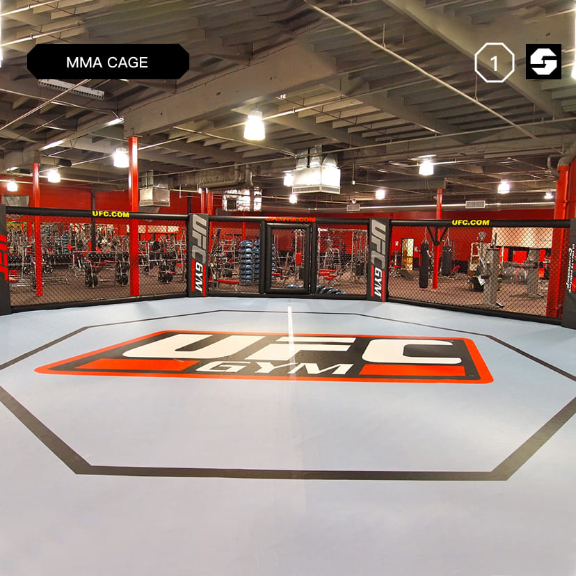 MMA professional boxing event octagon cage