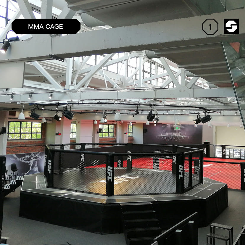 MMA professional boxing event octagon cage